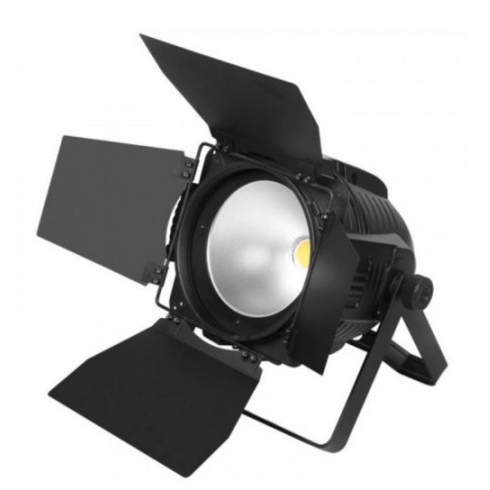Прожектор PAR LED STECHNICS PAR LED COB 200CWWW