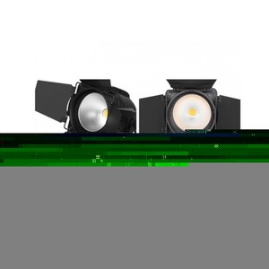 Прожектор PAR LED STECHNICS PAR LED COB 200CWWW