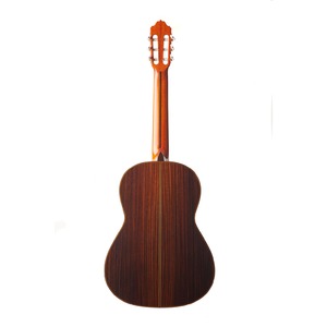 Классическая гитара ESTEVE 9C/B CD + кейс