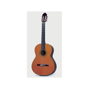 Классическая гитара Juan Hernandez Profesor CD w/case
