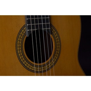Классическая гитара Juan Hernandez Profesor CD w/case