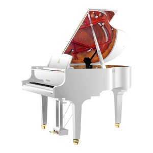 Рояль акустический Wendl&Lung W162WH