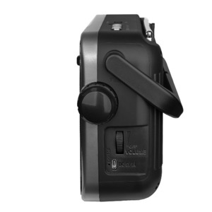 Радиоприемник Ritmix RPR-320