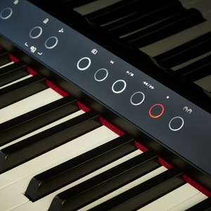 Пианино цифровое Roland LX-9-PE KSL-9-PE