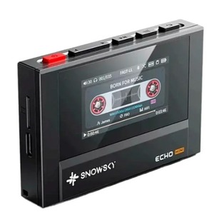 ЦАП портативный FiiO SNOWSKY ECHO MINI F4401E Black