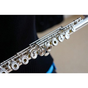 Флейта Artist AF-718RBSSOC#