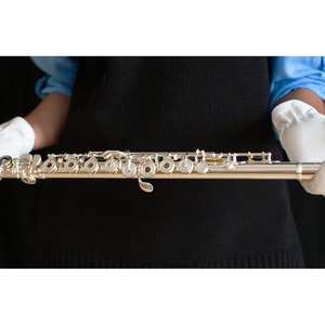 Флейта Artist AF-718RBSSOC#