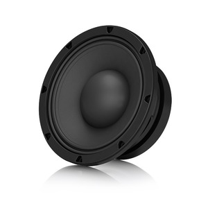 Пассивный сабвуфер Tannoy DCS115B