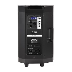 Активная акустическая система Soundking FPE10AD