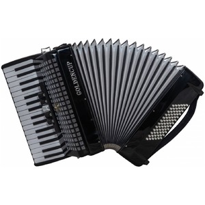 Аккордеон Golden Cup JH2022 BK