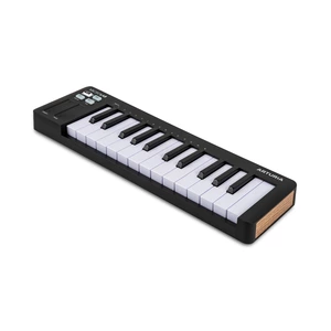 Миди клавиатура Arturia MicroLab 3 Black