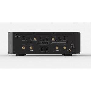 Усилитель мощности EverSolo AMP-F10