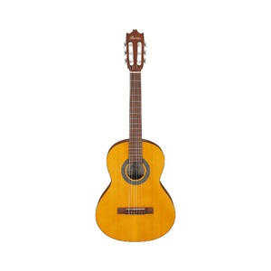 Классическая гитара IBANEZ GA2-OAM