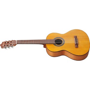 Классическая гитара IBANEZ GA2-OAM