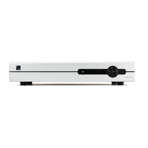 ЦАП транзисторный PS Audio Stellar DAC Silver