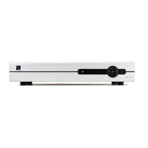 ЦАП транзисторный PS Audio Stellar DAC Silver