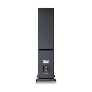 Напольная акустика PSB Imagine T65 Black