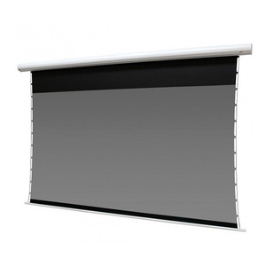 Экран для дома, настенно потолочный с электроприводом Elite Screens STT120XH-CLR3-E12