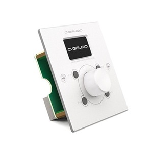 Панель управления для трансляции CVGaudio ERC-2W