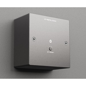 Панель управления для трансляции CVGaudio PW-BT/BL