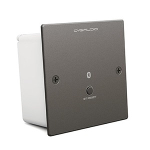Панель управления для трансляции CVGaudio PW-BT/BL