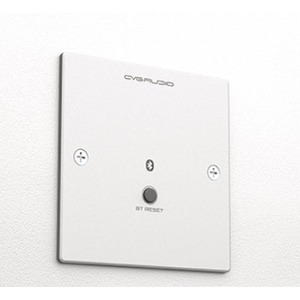 Панель управления для трансляции CVGaudio PW-BT/W