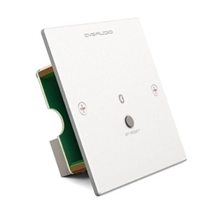 Панель управления для трансляции CVGaudio PW-BT/W