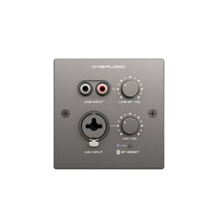 Панель управления для трансляции CVGaudio PW-IN/BL