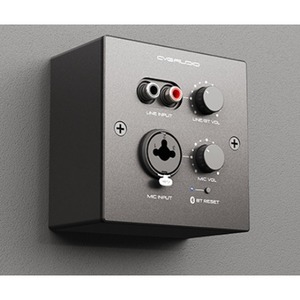 Панель управления для трансляции CVGaudio PW-IN/BL