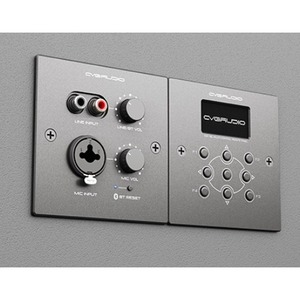 Панель управления для трансляции CVGaudio PW-IN/BL