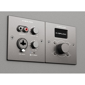 Панель управления для трансляции CVGaudio PW-IN/BL