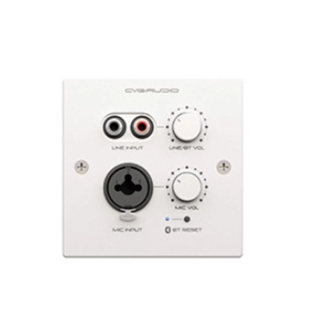Панель управления для трансляции CVGaudio PW-IN/W