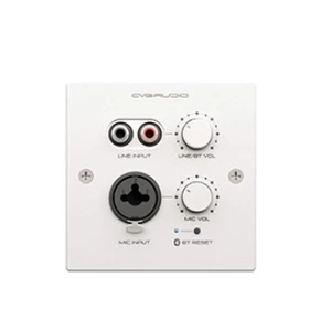 Панель управления для трансляции CVGaudio PW-IN/W