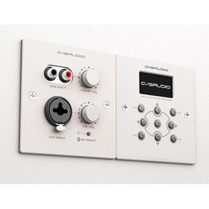 Панель управления для трансляции CVGaudio PW-IN/W