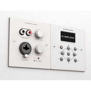 Панель управления для трансляции CVGaudio PW-IN/W