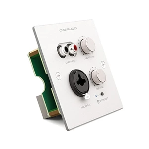 Панель управления для трансляции CVGaudio PW-IN/W