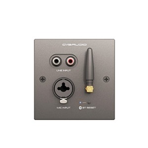 Панель управления для трансляции CVGaudio PW/EX-IN/BL