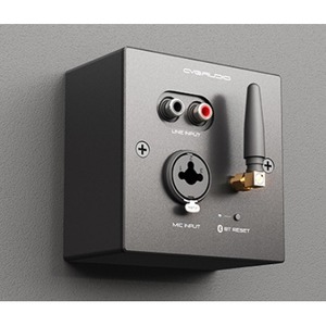 Панель управления для трансляции CVGaudio PW/EX-IN/BL