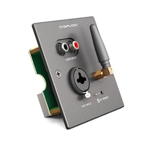 Панель управления для трансляции CVGaudio PW/EX-IN/BL