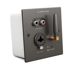 Панель управления для трансляции CVGaudio PW/EX-IN/BL