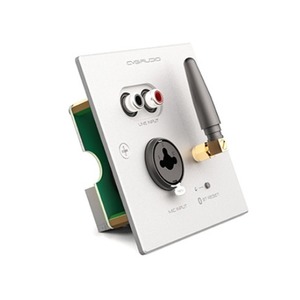 Панель управления для трансляции CVGaudio PW/EX-IN/W
