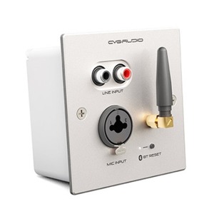 Панель управления для трансляции CVGaudio PW/EX-IN/W