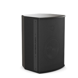 Акустика универсальная трансляционная CVGaudio BS608TBL