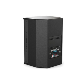 Акустика универсальная трансляционная CVGaudio BS608TBL