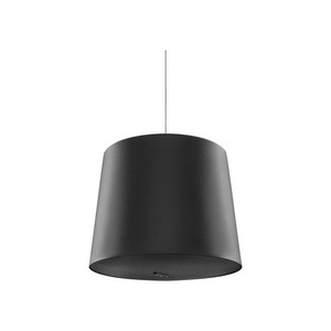 Акустика подвесная трансляционная Genelec 4436AM Smart IP