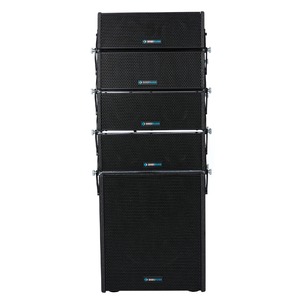 Звуковой комплект DIGIRUSS DHL2450 + DHL10BA SET