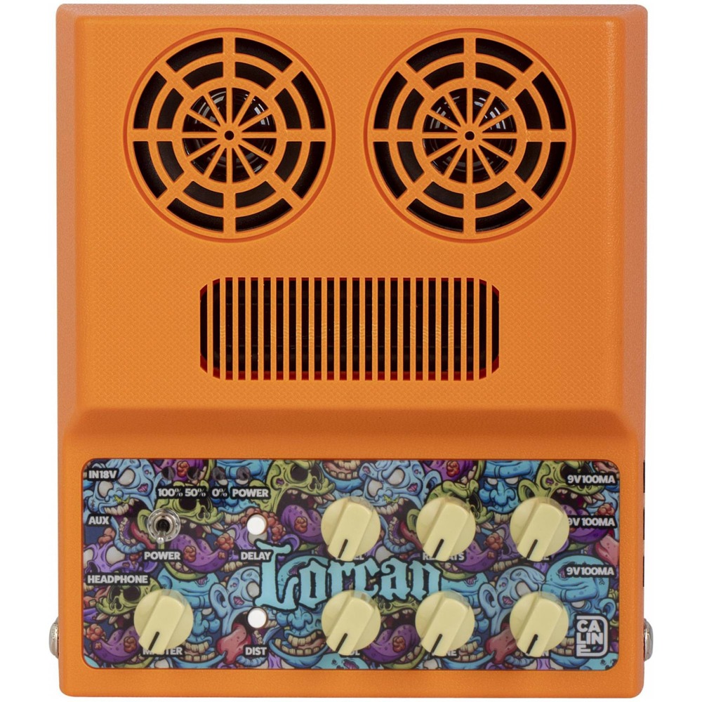 Гитарный комбо Caline CA-100G