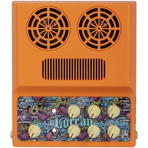 Гитарный комбо Caline CA-100G