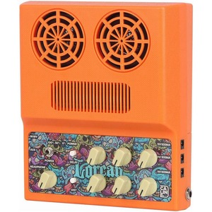 Гитарный комбо Caline CA-100G