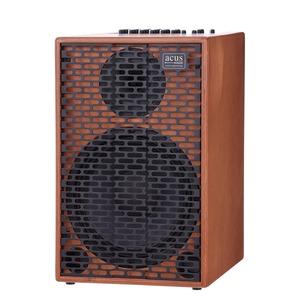 Комбоусилитель для акустической гитары Acus One ForStrings 10Ferdi Wood